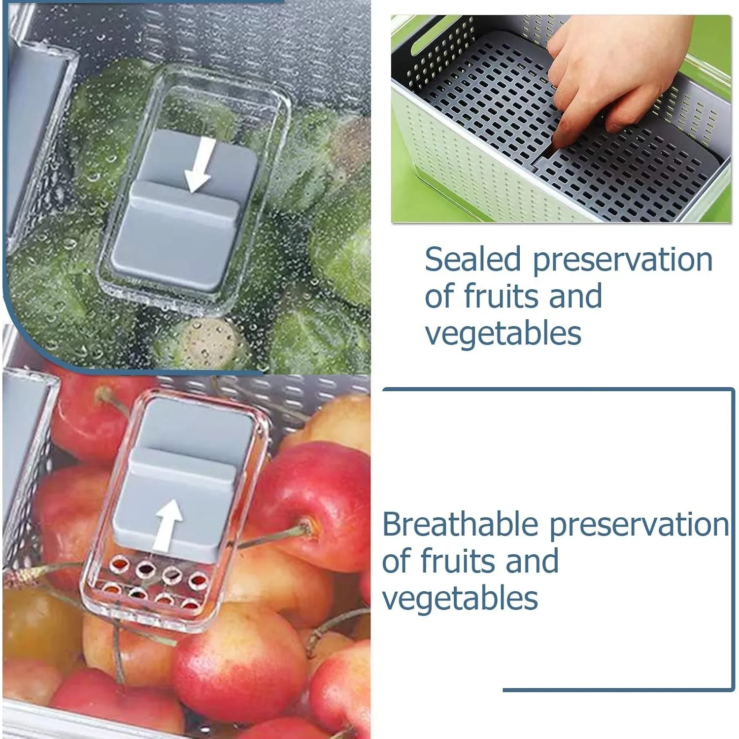 Refrigerator Fruit 'n Vegetable Storage and Drain Basket XP1234