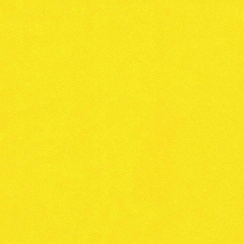 Yellow Rhino Canvas Fabric